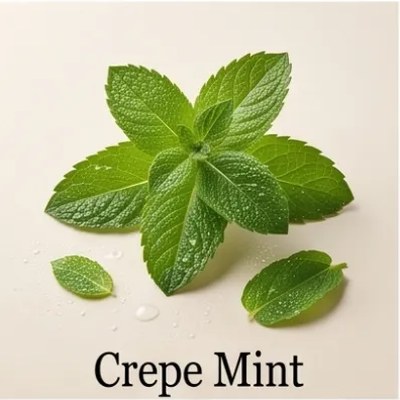 Crepe Mint
