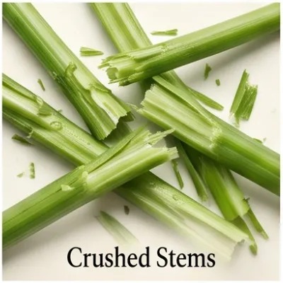 Crushed Stems