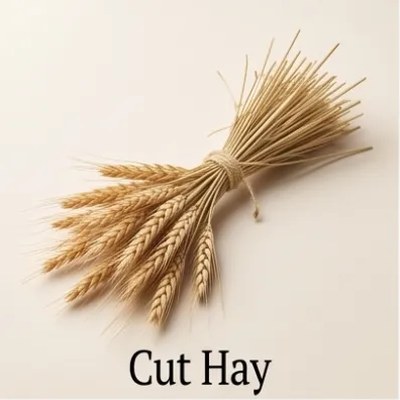 Cut Hay