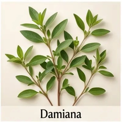 Damiana