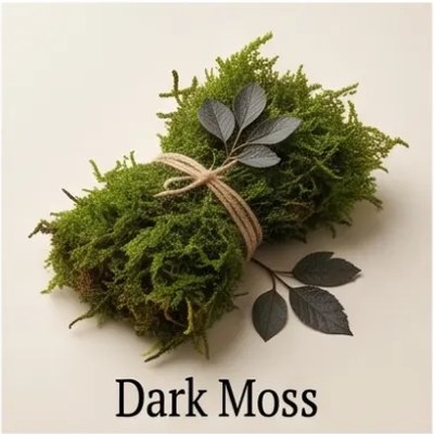 Dark Moss