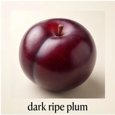 Dark Ripe Plum