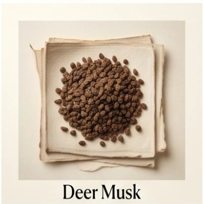 Deer Musk