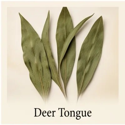 Deer Tongue