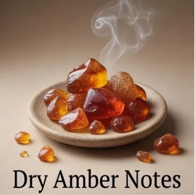 Dry Amber Notes