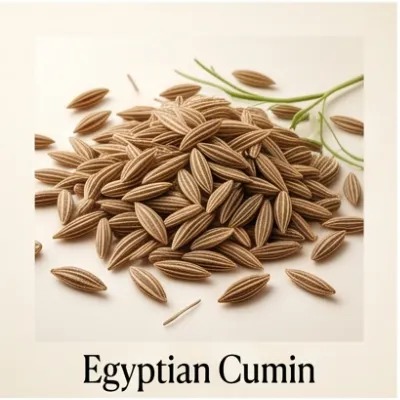 Egyptian Cumin