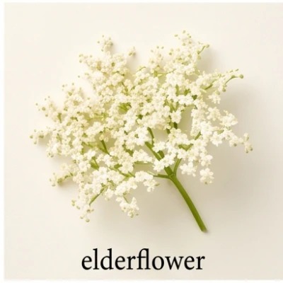 Elderflower