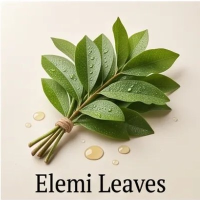 Elemi Leaves