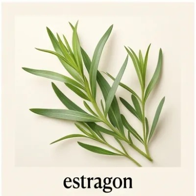 Estragon