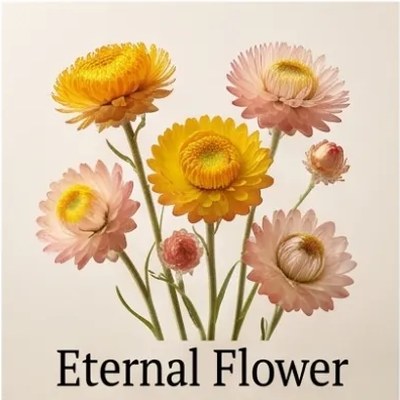 Eternal Flower