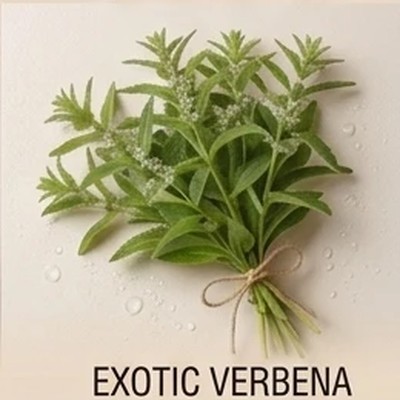 Exotic Verbena
