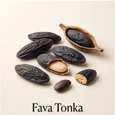 Fava Tonka