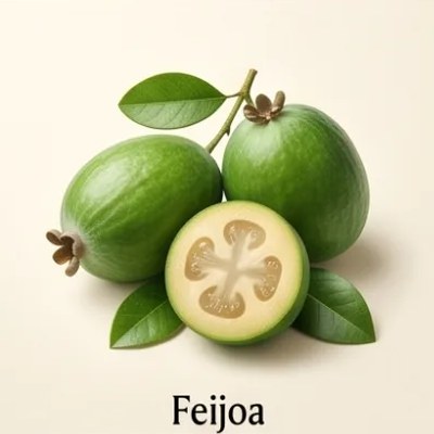 Feijoa
