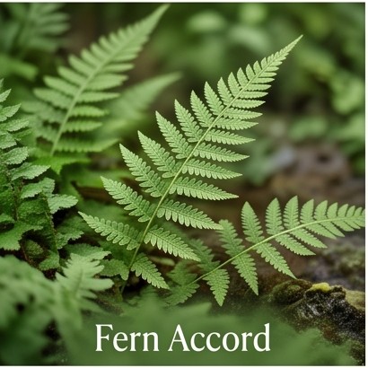 Fern Accord