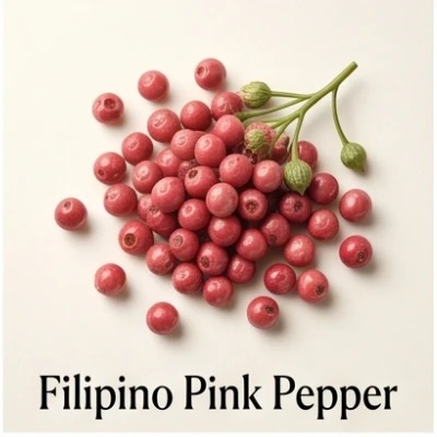 Filipino Pink Pepper