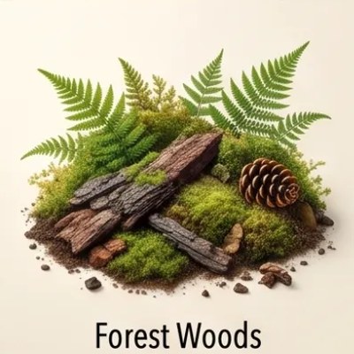 Forest Woods