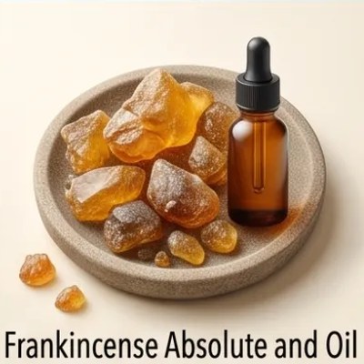 Frankincense Absolute and Oil