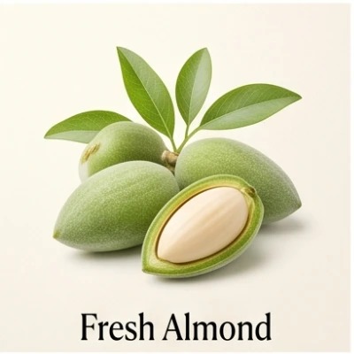 Fresh Almond