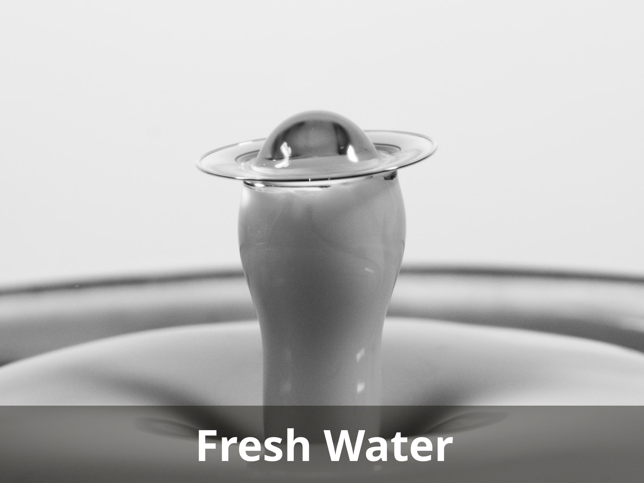 Fresh Water