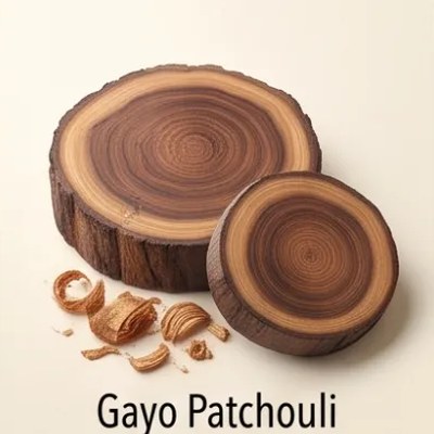 Gayo Patchouli