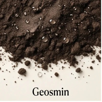 Geosmin
