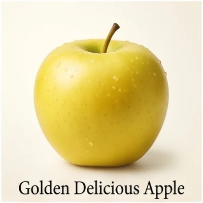 Golden Delicious Apple