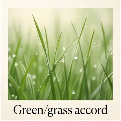 Green/grass accord