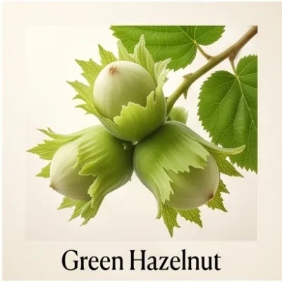 Green Hazelnut