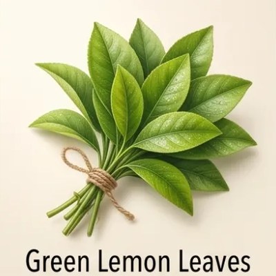 Green Lemon Leaves
