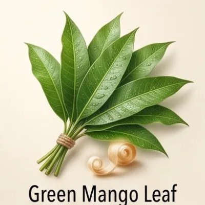 Green Mango Leaf