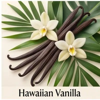 Hawaiian Vanilla