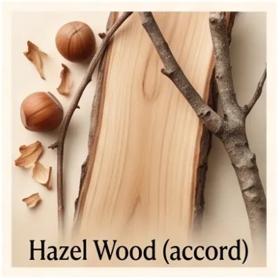 Hazel Wood (Accord)