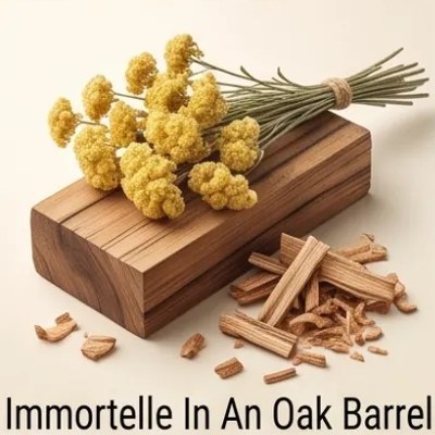 Immortelle In An Oak Barrel