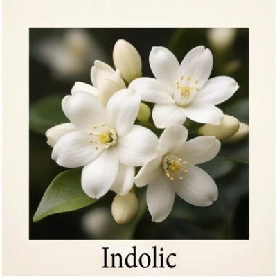 Indolic