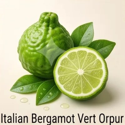 Italian Bergamot Vert Orpur