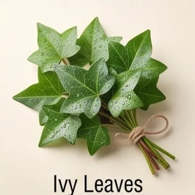 Ivy Leaves