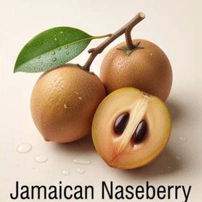 Jamaican Naseberry