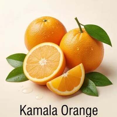 Kamala Orange