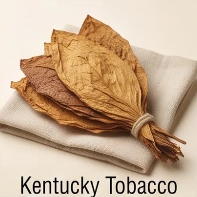 Kentucky Tobacco