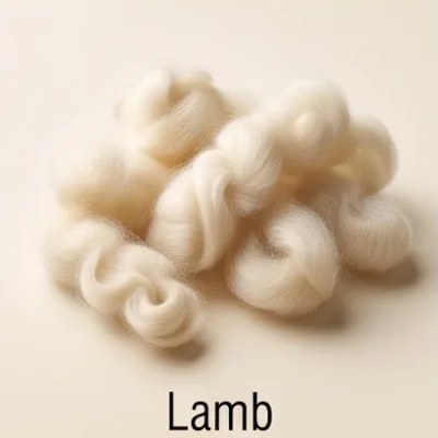 Lamb