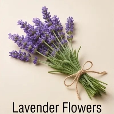 Lavender Flowers