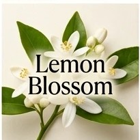 Lemon Blossom