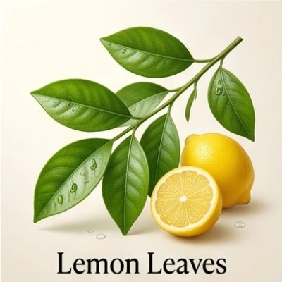 Lemon Leaves