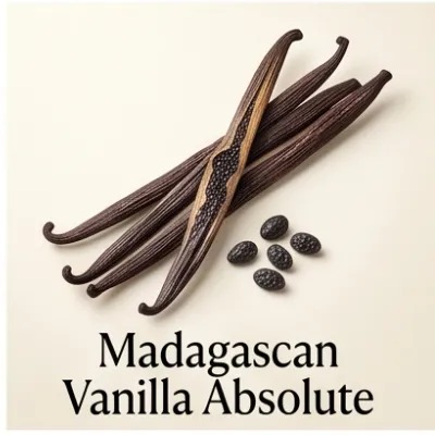 Madagascan Vanilla Absolute