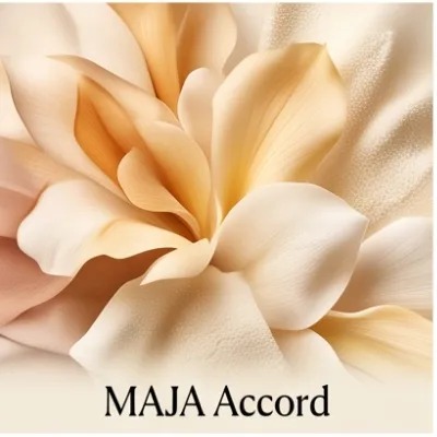 MAJA Accord
