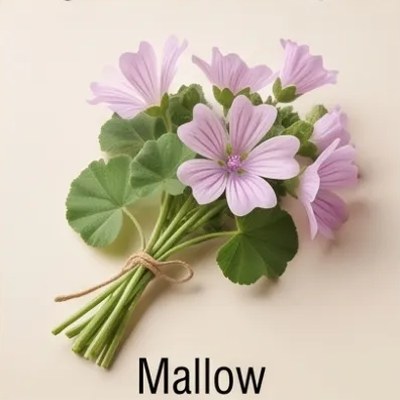 Mallow