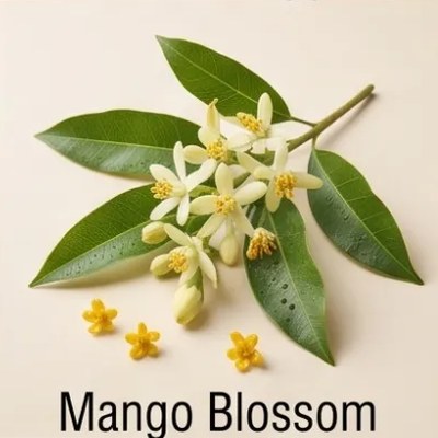 Mango Blossom