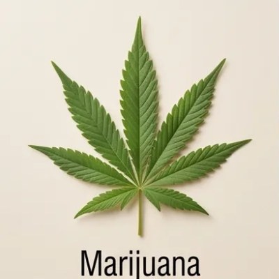 Marijuana