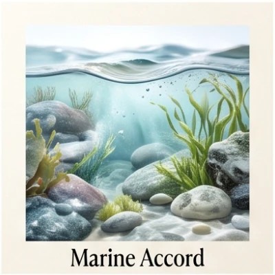 Marine Accord