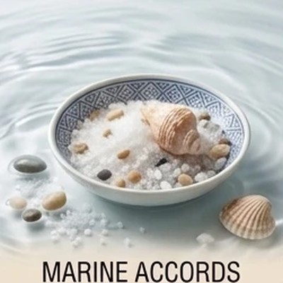 Marine Accords